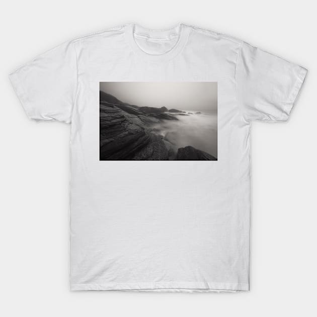 Foggy Ocean T-Shirt by jswolfphoto